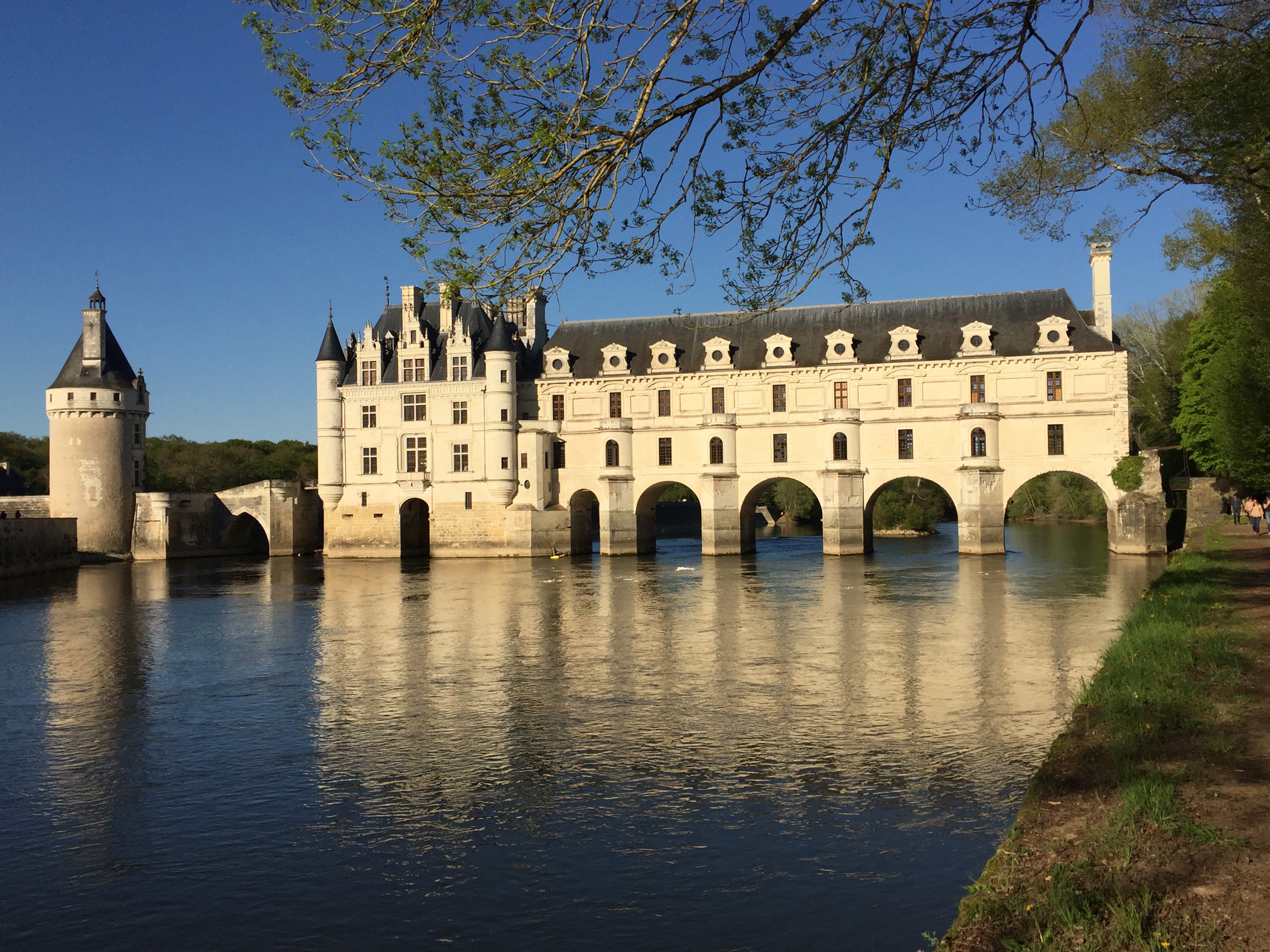 Les règles de la thérapie